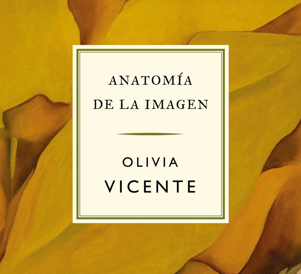 anatomía de la imagen portada (1)