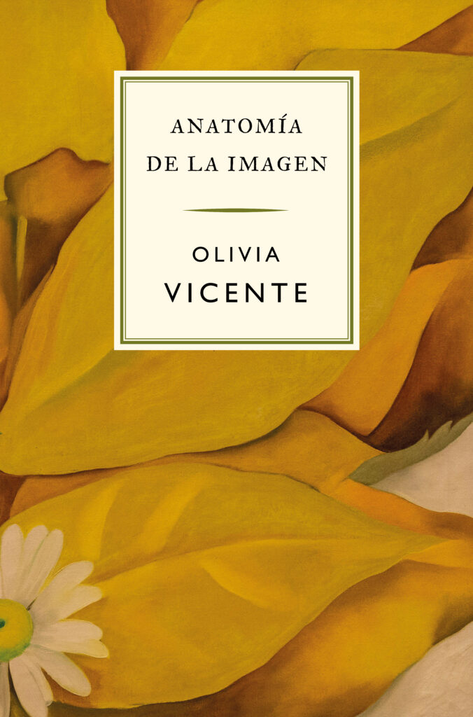 anatomía de la imagen portada (1)